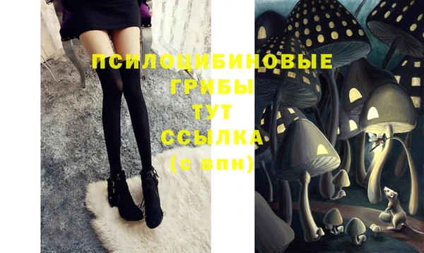 прущая мука Белокуриха