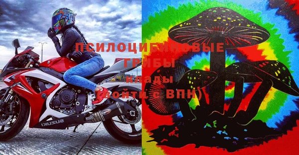 дмт Богданович